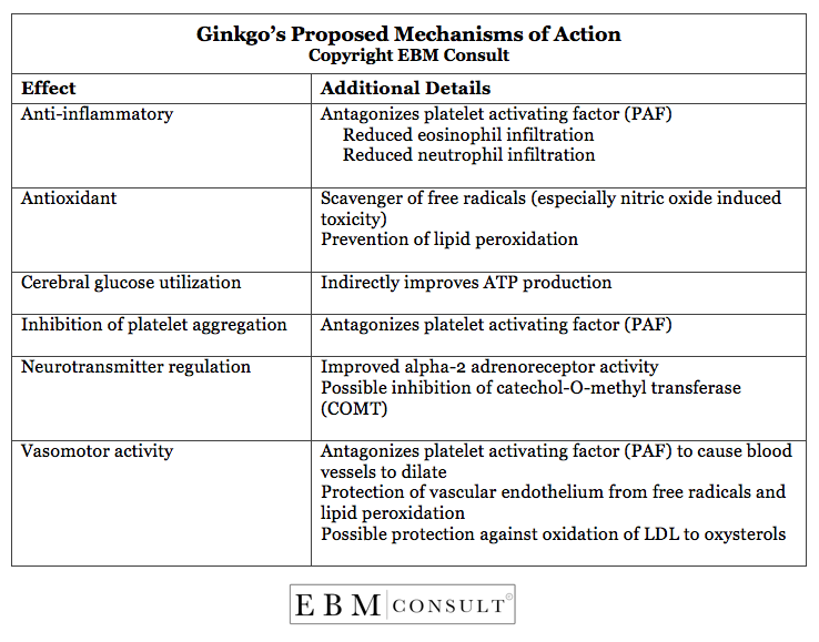 The Proposed Mechanisms of Action for Ginkgo
